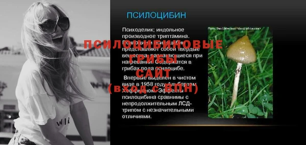 стафф Белокуриха