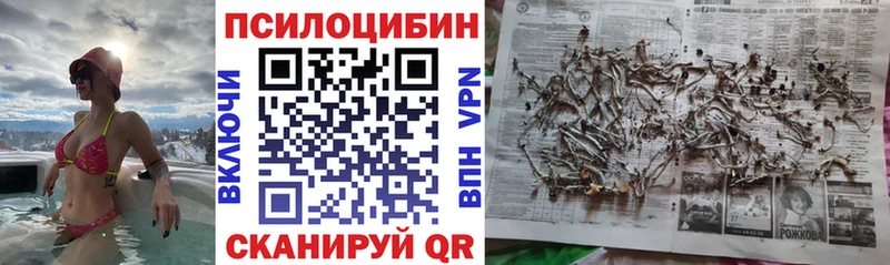 Псилоцибиновые грибы Psilocybine cubensis  как найти   Верхний Уфалей 