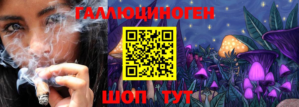 где продают   Вход с VPN  Верхний Уфалей  Псилоцибиновые грибы Cubensis 