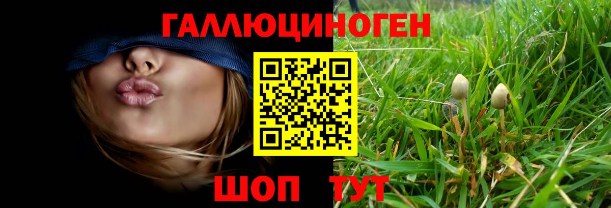 Галлюциногенные грибы Psilocybine cubensis Верхний Уфалей